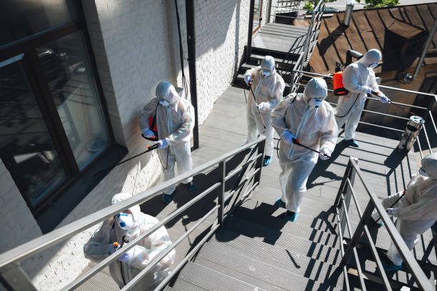 Best Black Mold Removal  in Lake Isabella, MI