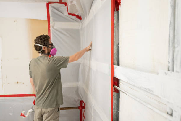 Best Mold Damage Restoration  in Lake Isabella, MI