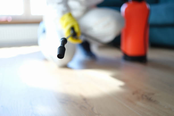 Best Mold Odor Removal Services  in Lake Isabella, MI