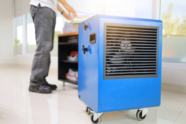 Best Residential Mold Inspection & Testing  in Lake Isabella, MI