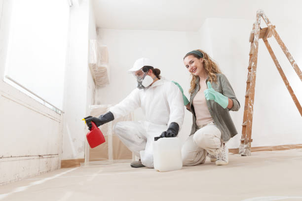 Best Real Estate Mold Inspection  in Lake Isabella, MI