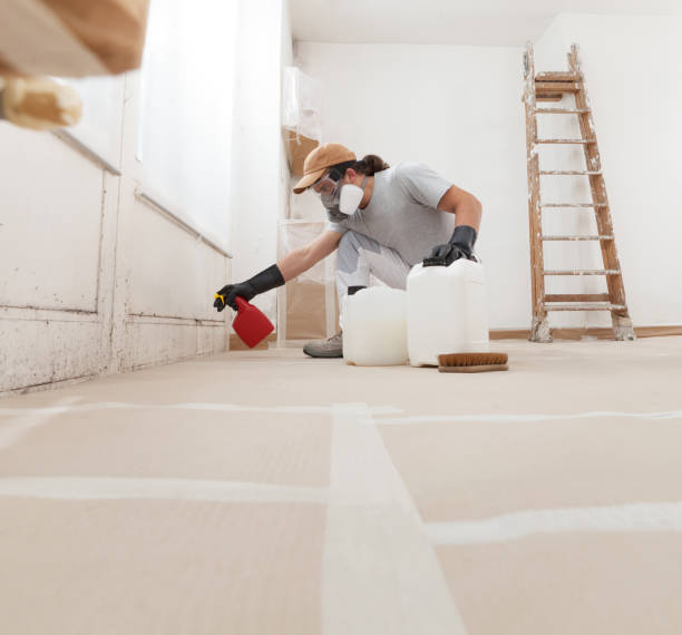 Asbestos and Lead Testing During Mold Inspection in Lake Isabella, MI